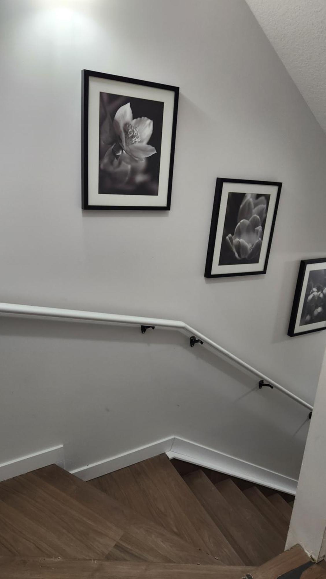 Modern 2 Bedroom Basement Suite At West Edmonton Luaran gambar